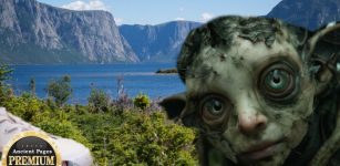 Unexplained Behavior In People Found After Being Lost In National Parks And Strange Encounters With A Dangerous Humanoid And The Little People In The Wilderness