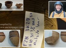 4500-Year-Old Fingerprints Reveal Children Created Pottery Vessels In Ebla Kingdom