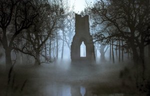 Mysterious Great Dismal Swamp – Why Can No One Find The Cemetery Twice?