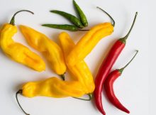 Spicy History Of Chili Peppers - Study From University Of Alabama