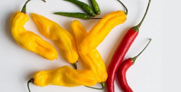 Spicy History Of Chili Peppers - Study From University Of Alabama