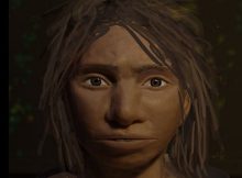 Denisovans In The Altai Mountains: A Hominin Group That interbred With Modern Humans