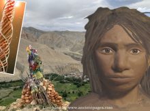 Denisovan DNA May Explain Why Tibetan Women Thrive In Low Oxygen At High Altitudes For Over 10,000 Years