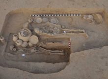 Scientists Use Ancient DNA To Explore Early European Adaptation