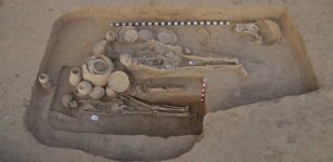 Scientists Use Ancient DNA To Explore Early European Adaptation