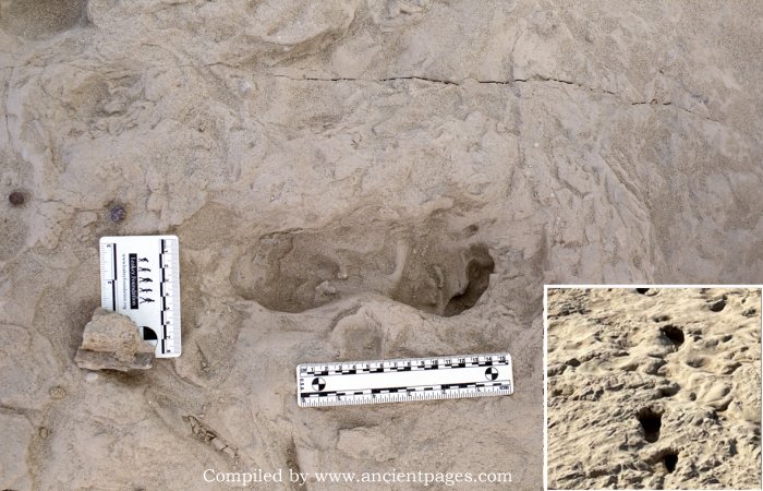 1.5-Million-Year-Old Footprints Of Two Different Species Of Human Ancestors Found At The Same Spot