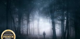 Unusual Fog, Mysterious Forest Disappearances, And Unexplained Lights In Finland – What Is The Connection?