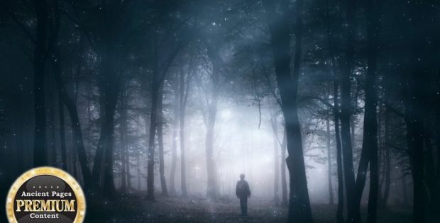 Unusual Fog, Mysterious Forest Disappearances, And Unexplained Lights In Finland – What Is The Connection?