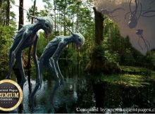 Mystery Of The Okefenokee Swamp Deepens: Unexplained Sightings Of Unknown Beings, Puzzling Lights, And Giant Skeletons Reported