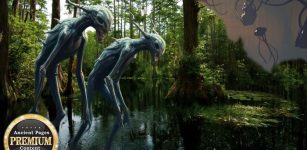 Mystery Of The Okefenokee Swamp Deepens: Unexplained Sightings Of Unknown Beings, Puzzling Lights, And Giant Skeletons Reported