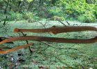 Rare Bronze Age Sacrificial Offerings, Including A Bent Sword Found In A Bog Near Veksø, Denmark