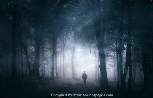 Unusual Fog, Mysterious Forest Disappearances, And Unexplained Lights In Finland – What Is The Connection?