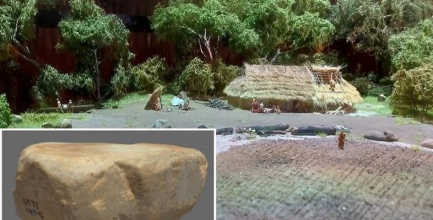 Grinding Stone Sheds New Light On The Diet Of Early Neolithic Farmers In Scandinavia