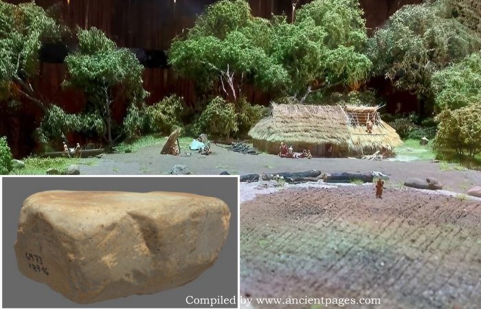 Grinding Stone Sheds New Light On The Diet Of Early Neolithic Farmers In Scandinavia