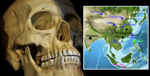 Homo Juluensis: New Human Species With Exceptionally Large Skulls Discovered