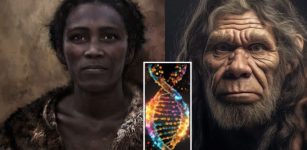 Mystery Woman's DNA Reveals Intriguing Relationship Between Neanderthals And Modern Humans In Europe