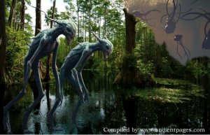 Mystery Of The Okefenokee Swamp Deepens: Unexplained Sightings Of Unknown Beings, Puzzling Lights, And Giant Skeletons Reported