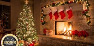 Ancient History Of The Christmas Tree And Its Pagan Roots - How The 'Forbidden' Tree Survived Against All Odds