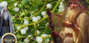 Mistletoe – Sacred Celtic Plant With Magical Properties