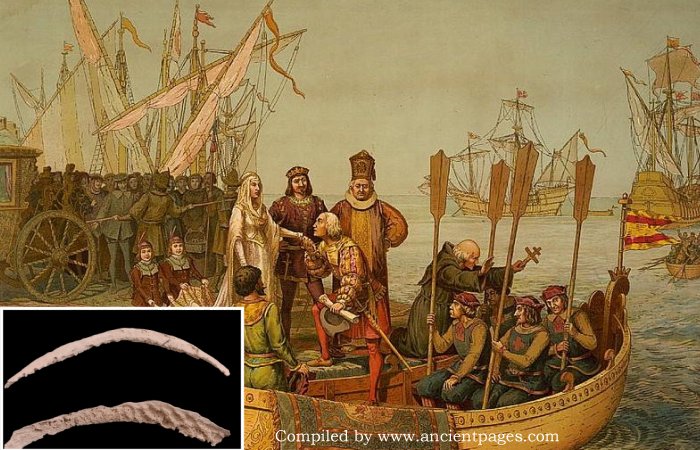 Ancient Bone Reveals Syphilis May Have Originated In The Americas - Columbus Theory Questioned By Scientists