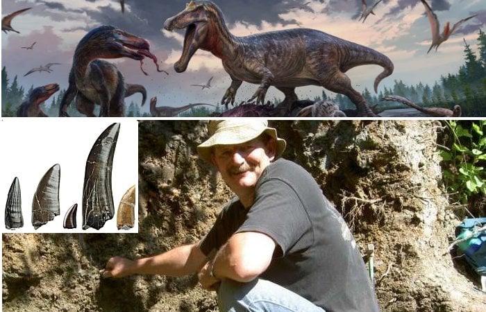 Tyrannosaur Teeth Discovered In Bexhill-On-Sea With Help Of Retired Quarryman