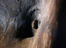 Surprising Mask Of A Human Face Found On Cistern Wall In The Ancient City Of Ptolemais