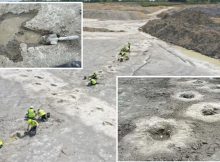 New Footprint Discoveries On Britain’s ‘Dinosaur Highway’