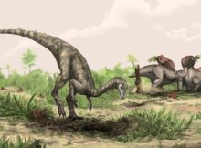 Mystery Of The First Dinosaurs Deepens - Is The Supercontinent Gondwana The Answer?