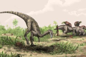 Mystery Of The First Dinosaurs Deepens - Is The Supercontinent Gondwana The Answer?