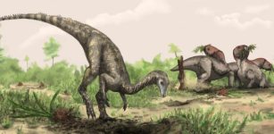 Mystery Of The First Dinosaurs Deepens - Is The Supercontinent Gondwana The Answer?