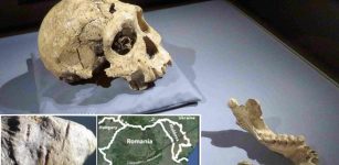 Evidence Hominins Were Present In Europe Far Earlier Than Previously Thought