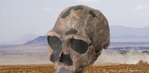 Homo Erectus Adapted To Survive In Desert-Like Environments 1.2 Million Years Ago