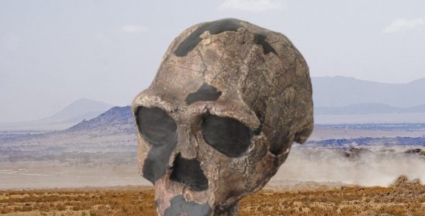 Homo Erectus Adapted To Survive In Desert-Like Environments 1.2 Million Years Ago