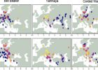 Substantial Evidence For A Divergence Between Eastern And Western Mediterranean Indo-European Languages Finally Provided By Ancient Genomics Study