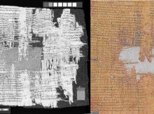 Newly Discovered Papyrus Reveals An Intriguing And Gripping Criminal Case From The Roman Empire