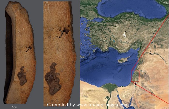 Ancient Artifacts With Carved Geometric Patterns Demonstrate Advanced Cognitive And Symbolic Behavior Among Early Humans