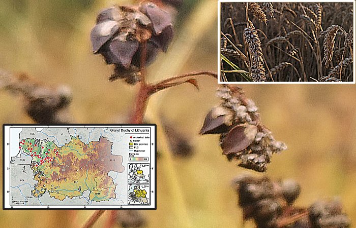 Pre-Industrial Communities' Climate Adaptations in North-Eastern Europe Over The Past Two Millennia