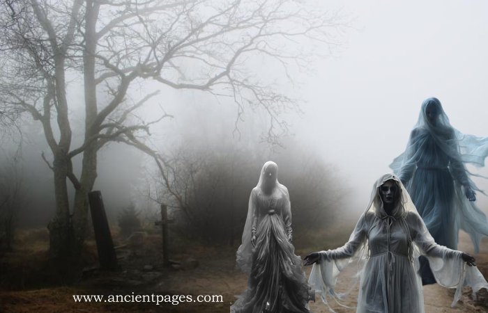 Elusive Legendary Mist Witches Who Can Be As Wise As Dangerous Elusive Legendary Mist Witches Who Can Be As Wise As Dangerous