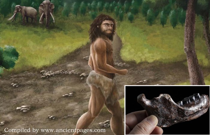Rare Ancient Jawbone Of A Denisovan Who Lived 200,000 Years Ago Discovered In Taiwan