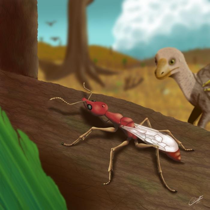 The Oldest Ant Ever Discovered Found Fossilized In Brazil The Oldest Ant Ever Discovered Found Fossilized In Brazil