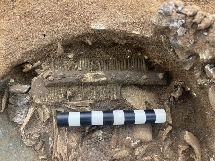 Mystery Of The Byzantine Bromeswell Bucket Found At Sutton Hoo Solved Mystery Of The Byzantine Bromeswell Bucket Found At Sutton Hoo Solved