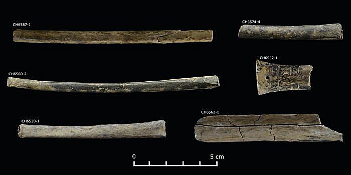 Chavín Phenomenon: Ancient Andean Society Used Hallucinogens To Reinforce Social Order And Leadership Chavín Phenomenon: Ancient Andean Society Used Hallucinogens To Reinforce Social Order And Leadership