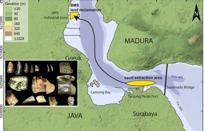 Fossilized Remains Of Homo Erectus Found On Submerged Sundaland, Java Reveal More Secrets