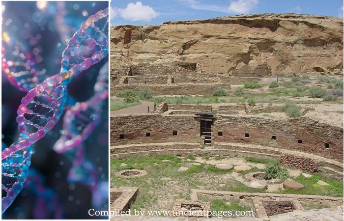 Ancient DNA Confirms Picuris Pueblo Tribe's Ancestral Ties To Chaco Canyon Ancient DNA Confirms Picuris Pueblo Tribe's Ancestral Ties To Chaco Canyon