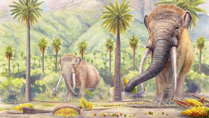 Disappearance Of Mastodons Still Threatens South America’s Native Forests Disappearance Of Mastodons Still Threatens South America’s Native Forests