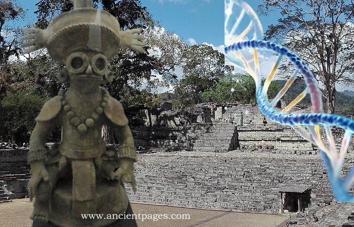 What Can Ancient DNA From Copán Reveal About The Maya Collapse? What Can Ancient DNA From Copán Reveal About The Maya Collapse?