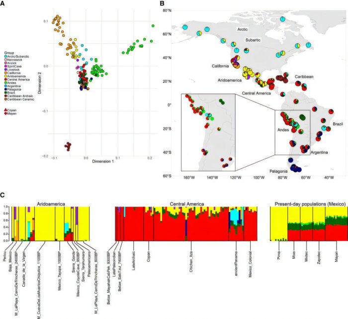 What Can Ancient DNA From Copán Reveal About The Maya Collapse? What Can Ancient DNA From Copán Reveal About The Maya Collapse?