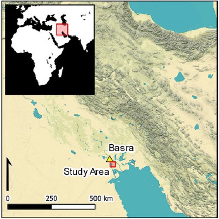 Reasons Behind Abandonment Of Extensive Farming System In Mesopotamia Are Still Unclear Reasons Behind Abandonment Of Extensive Farming System In Mesopotamia Are Still Unclear