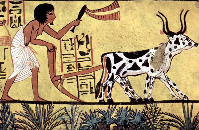 Ancient Egypt:  The Eldest Sons Traditionally Held Significant Power And Authority - New Study