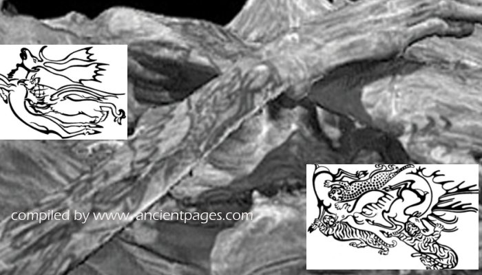 Ice Mummies Of Siberia Had Complex Tattoos On Their Bodies